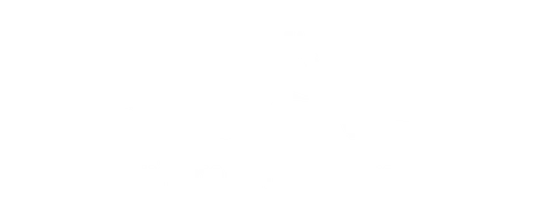 Prism Solutions